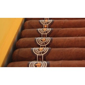 Montecristo media Corona