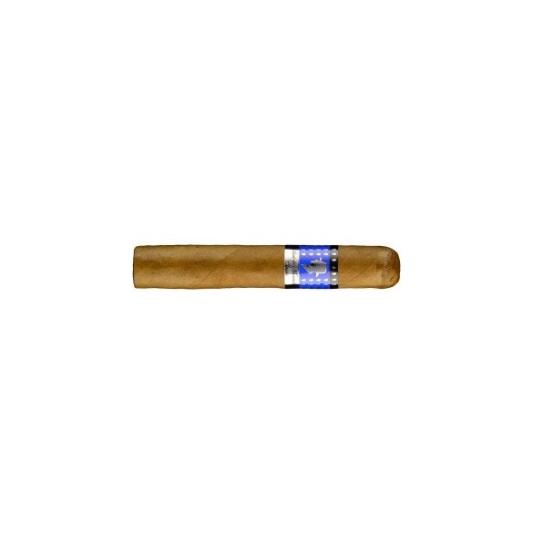 Gilbert de Montsalvat Classic Robusto 16 er Kiste Zigarren