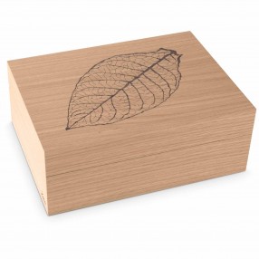 Zino Humidor Z60 Leaf Eiche grau