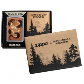 Zippo Collection 2020