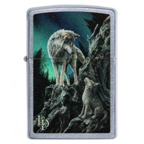 Zippo Collection 2020