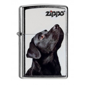 Zippo Collection 2020