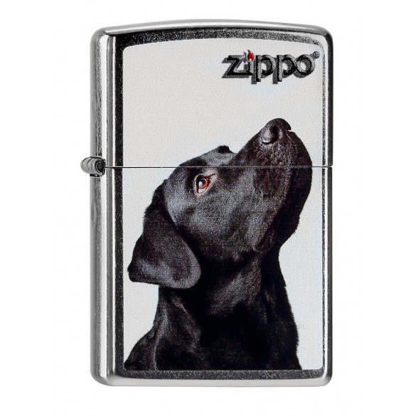 Zippo Collection 2020